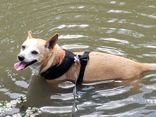 Park «Mike Lewis Park», reviews and photos, 2410 N Carrier Pkwy, Grand Prairie, TX 75050, USA