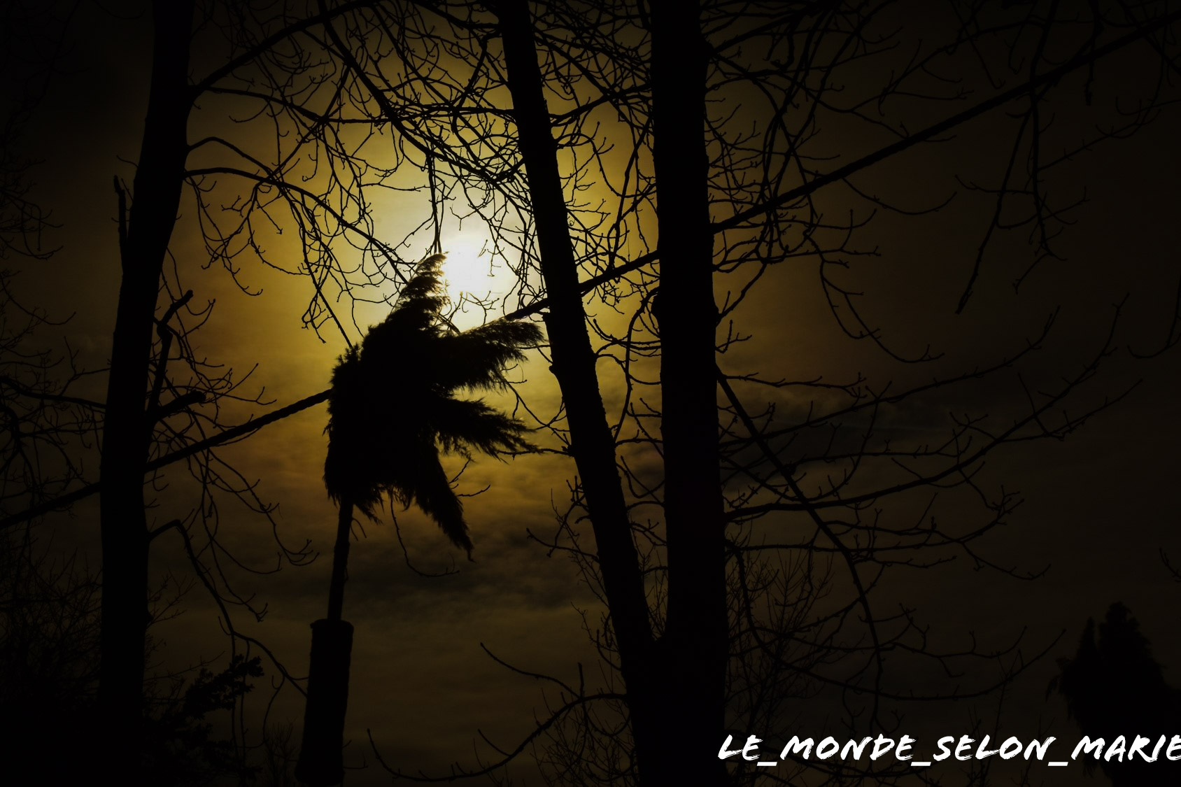 Photo n° 1 de l'avis de Marie.e fait le 18/04/2019 à 00:50