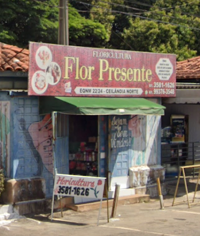 Floricultura Ceilândia Brasília