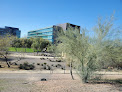 University Of Phoenix