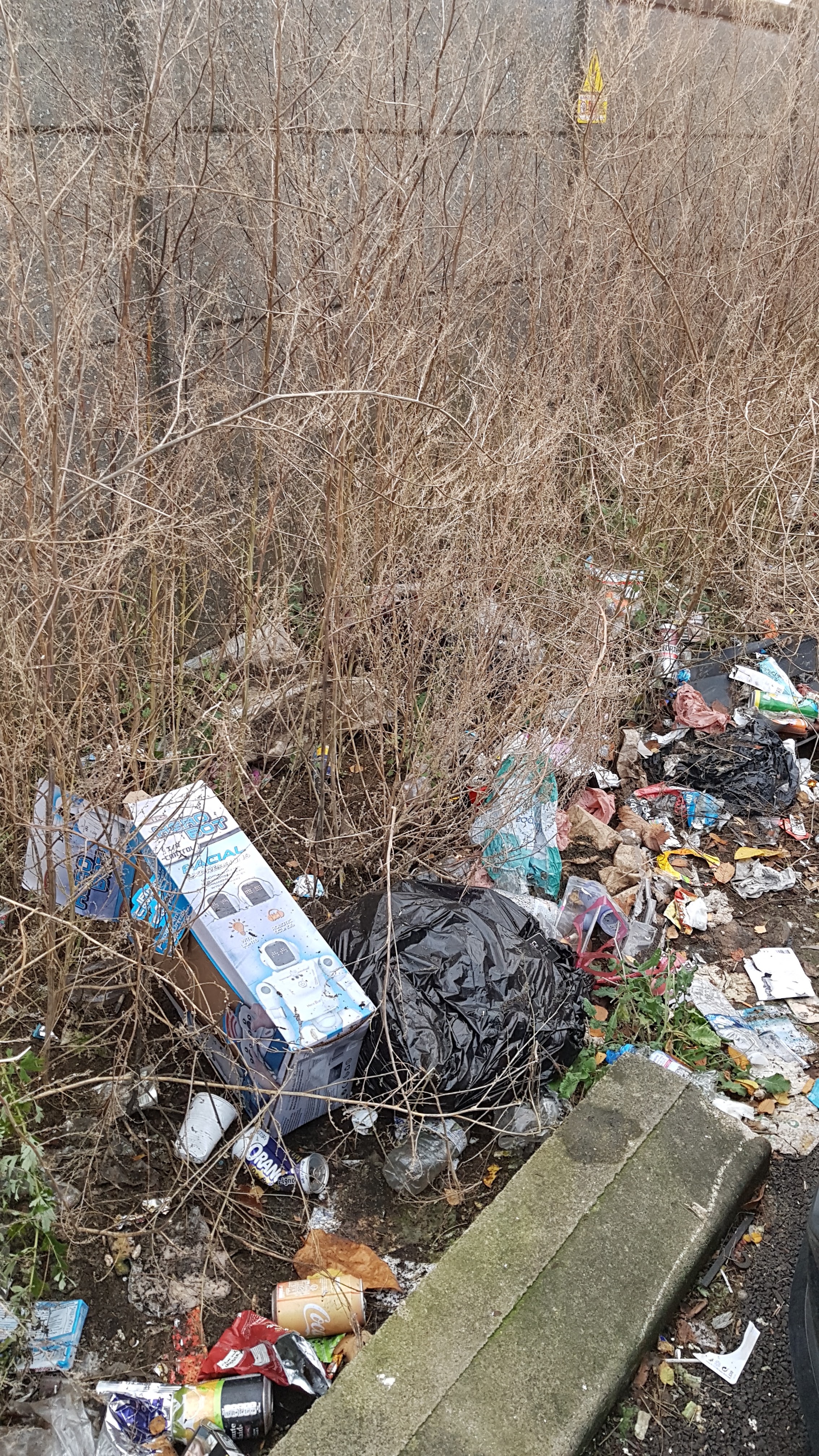 Photo n° 1 de l'avis de francoise.l fait le 04/12/2019 à 11:03