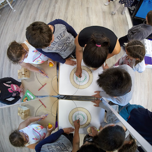 IQ Space Educational - Piatra Neamț