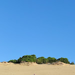 Photo n°2 de l'avis de Gianluca.i fait le 07/11/2023 à 08:28 sur le  Ristorante Pizzeria La Privilegiata à Buggerru