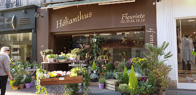 Helianthus Fleuriste à Dieppe