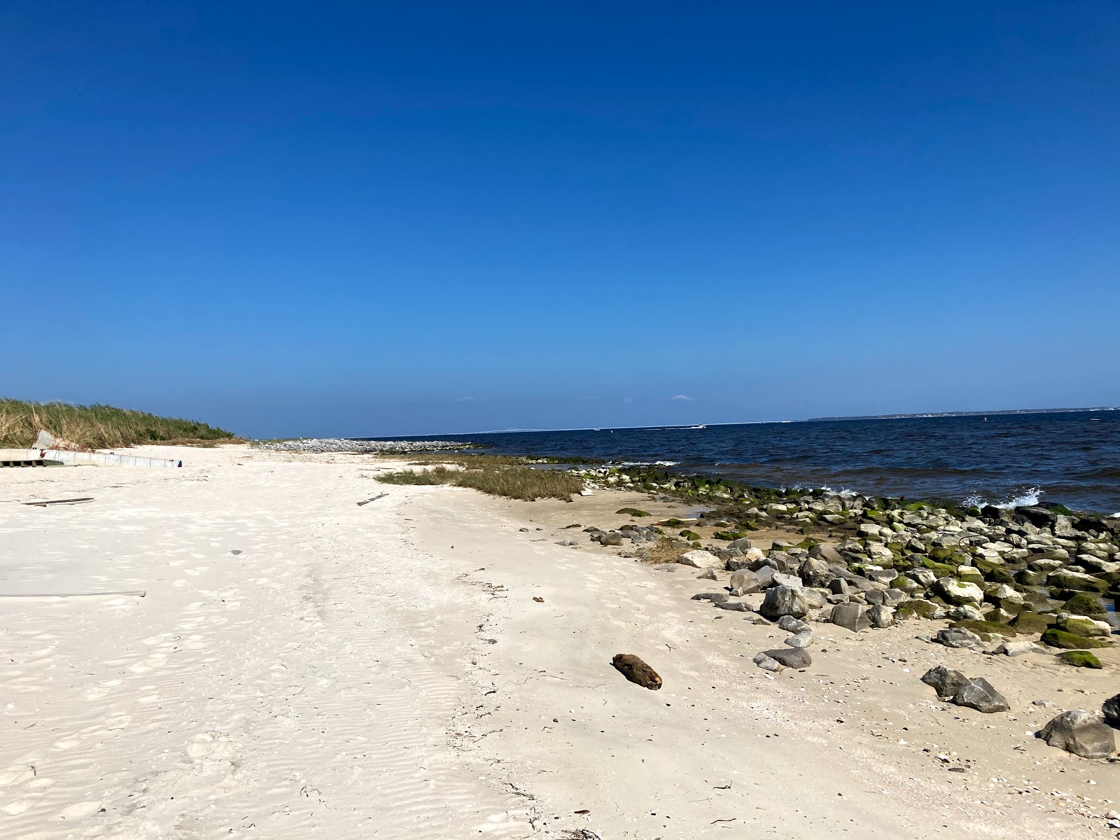 Foto av Pensacola Naval Complex Beach med hög nivå av renlighet