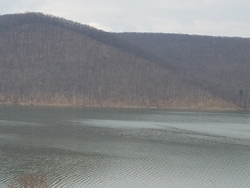 Fishing Area «Kinzua Dam», reviews and photos