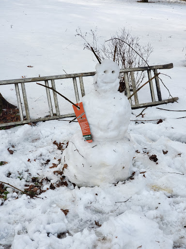 Moving Company «College Hunks Hauling Junk and Moving», reviews and photos, 832 W Eleven Mile Rd, Madison Heights, MI 48071, USA