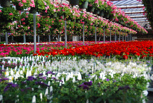 Florist «Nunan Florist & Greenhouses», reviews and photos, 269 Central St, Georgetown, MA 01833, USA