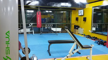 Zeus Gym Fight Center - WW5M+M46, Ulaanbaatar, Mongolia
