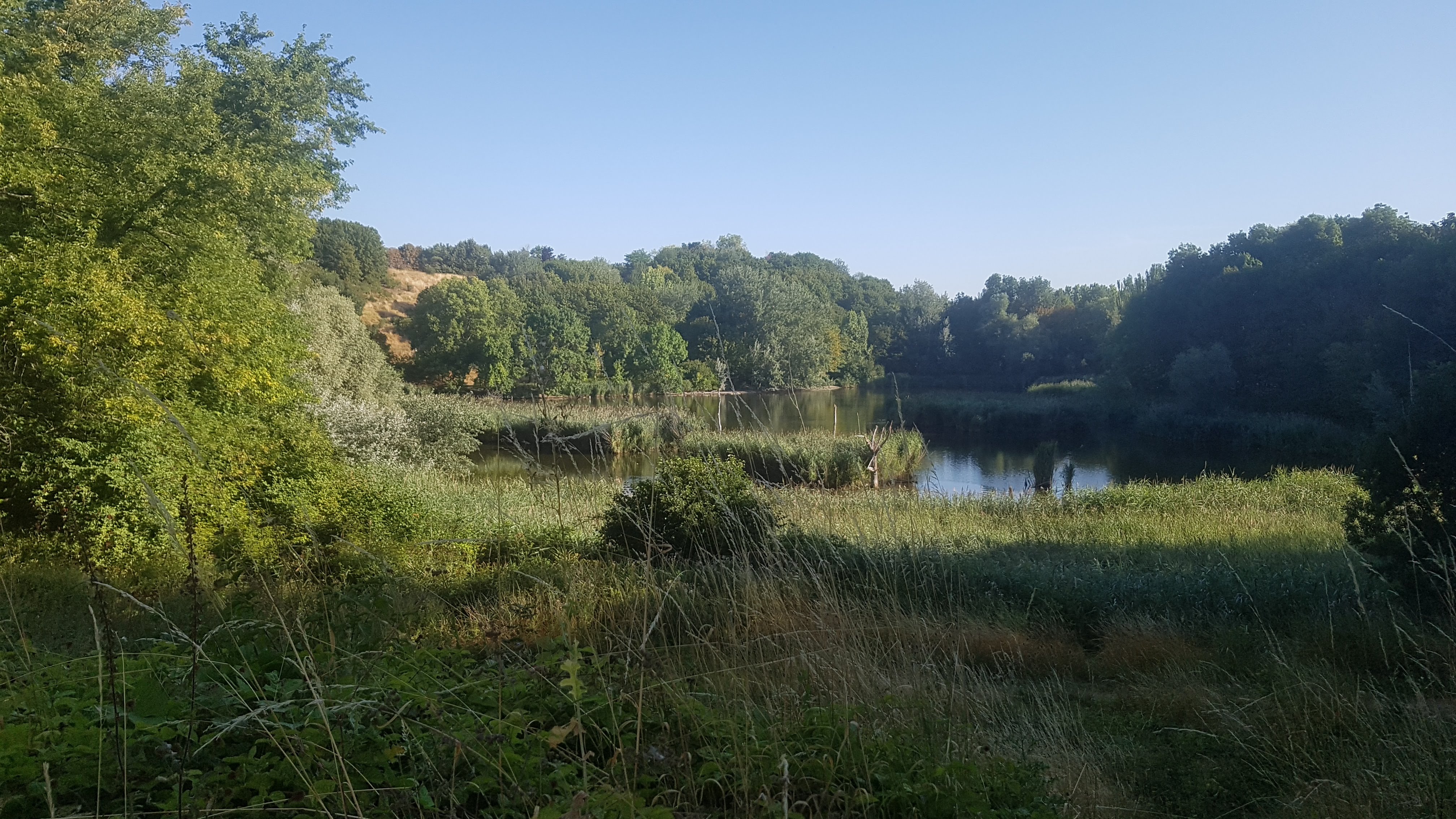 Photo n° 2 de l'avis de Nathalie.u fait le 06/08/2020 à 20:17
