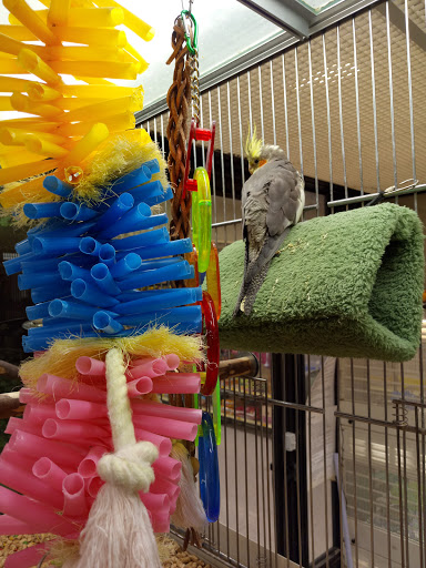 Pet Supply Store «PetSmart», reviews and photos, 3431 Tittabawassee Rd, Saginaw, MI 48604, USA