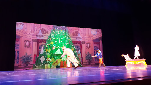 Performing Arts Theater «McAllen Performing Arts Center», reviews and photos, 801 Convention Center boulevard, McAllen, TX 78501, USA