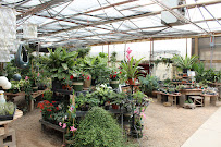 Bookcliff Gardens - Photo 9 - Car repair in Grand Junction, CO, Grand Junction