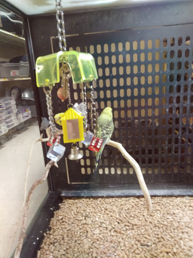 Pet Supply Store «PetSmart», reviews and photos, 198 Promenade Blvd, Flowood, MS 39232, USA