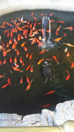 Car Wash «Pacific Car Wash Corporation», reviews and photos, 41080 Trimboli Way, Fremont, CA 94538, USA