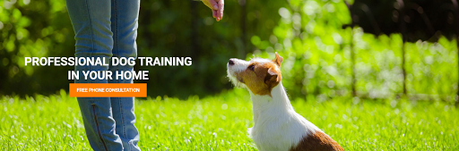 Canine Dimensions In-Home Dog Training