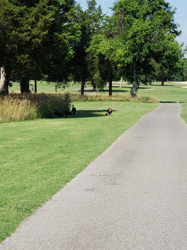 Golf Course «Old Fort Golf Course», reviews and photos, 1028 Golf Ln, Murfreesboro, TN 37129, USA