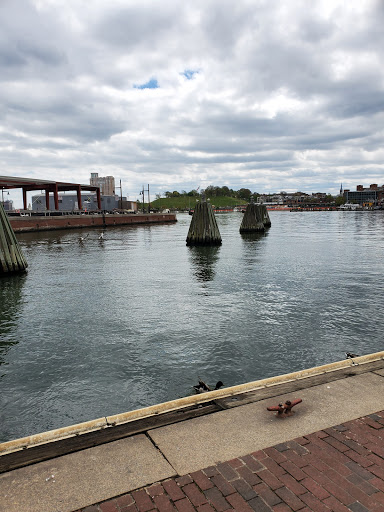 Shopping Mall «The Gallery Mall», reviews and photos, 200 E Pratt St, Baltimore, MD 21202, USA