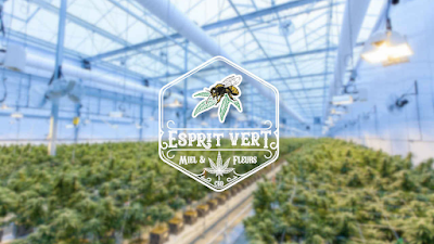 EspritVert | Cannabis CBD légal en ligne (Dieppe expéditions seulement) à Dieppe