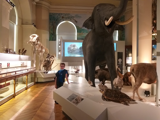 Natural History Museum of Marseille