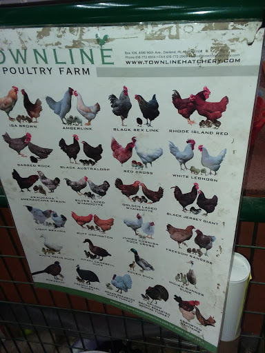 Department Store «Rural King», reviews and photos, 4000 W Bethel Ave, Muncie, IN 47304, USA