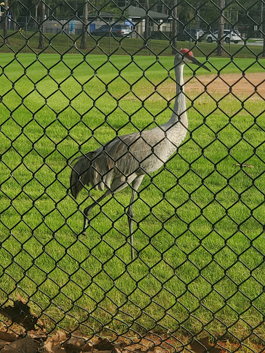 Water Park «Trailblazer Park», reviews and photos, 550 Rantoul Ln, Lake Mary, FL 32746, USA