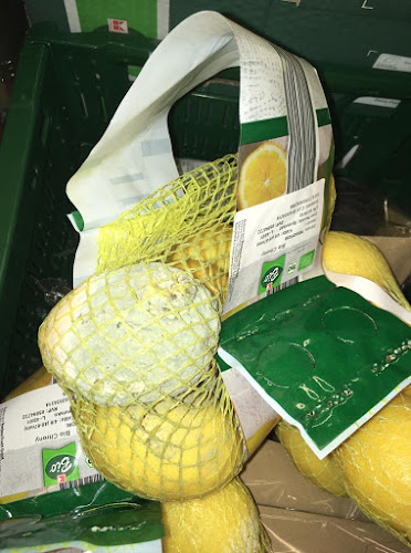 Bělohradská 3855, 580 01 Havlíčkův Brod 1