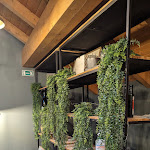 Photo n°7 de l'avis de Patrick.e fait le 01/05/2023 à 16:55 sur le  Leti à Tirano