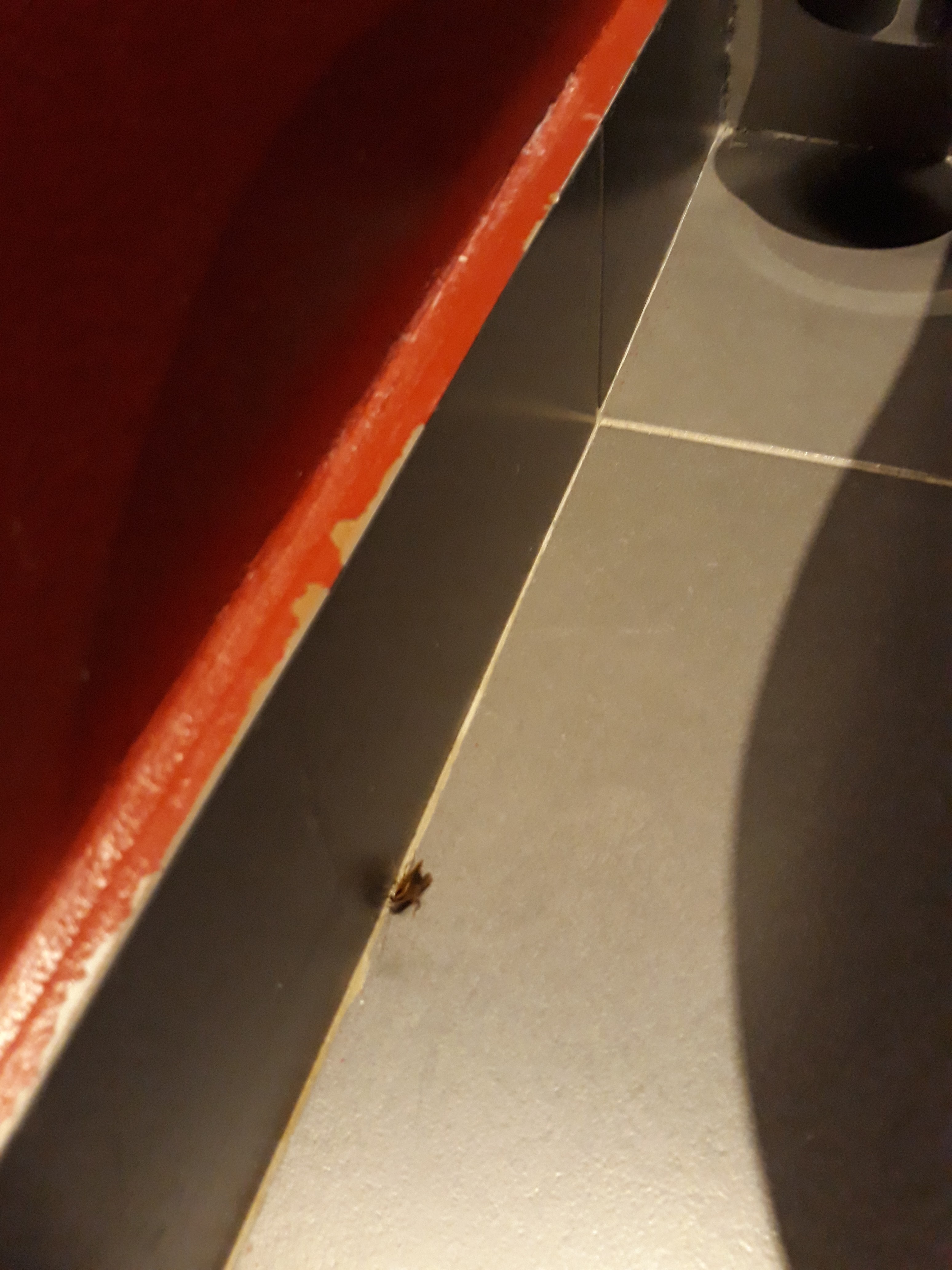 Photo n° 1 de l'avis de Kévin.b fait le 26/02/2020 à 21:26