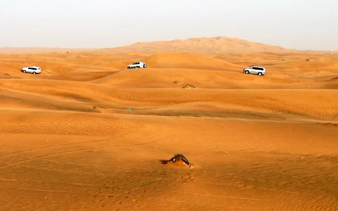 Desert Tourism image