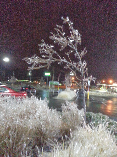 Supermarket «Walmart Neighborhood Market», reviews and photos, 3571 W. Rock Creek Road, Norman, OK 73069, USA