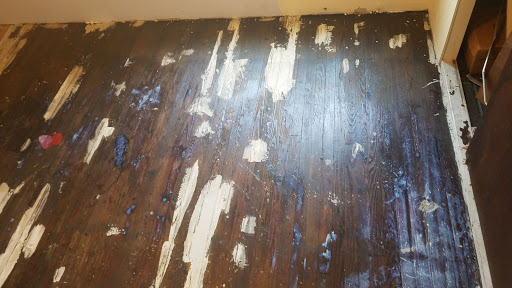 Home Improvement Store «The Home Depot», reviews and photos, 2100 Elmwood Ave, Buffalo, NY 14207, USA