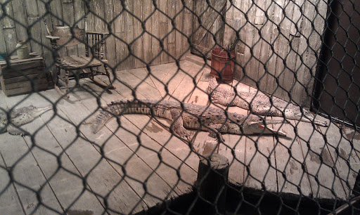 Aquarium «Newport Aquarium», reviews and photos, 1 Aquarium Way, Newport, KY 41071, USA