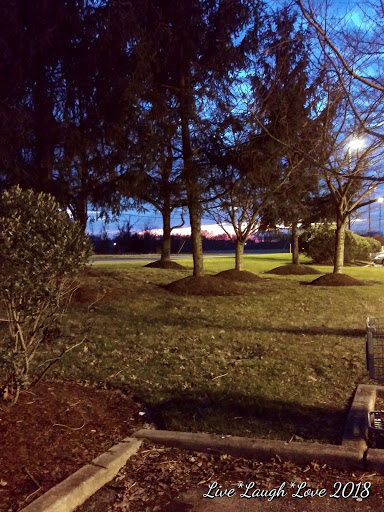 Grocery Store «ACME Markets», reviews and photos, 857 NJ-45, Woodstown, NJ 08098, USA