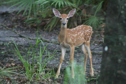 Brooker Creek Preserve & Environmental Education Center