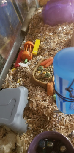 Pet Groomer «We Lov Pets», reviews and photos, 3853 Northpointe Dr, Zanesville, OH 43701, USA