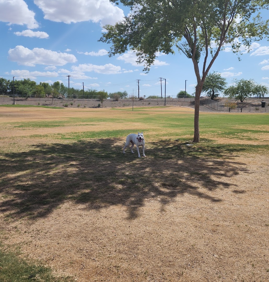 Copper Sky Park Dog Park