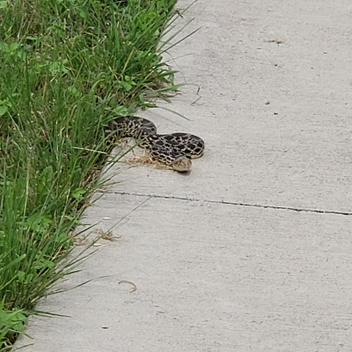 Park «Northwest Community Park», reviews and photos, 8575 Blue Mound Rd, Fort Worth, TX 76137, USA