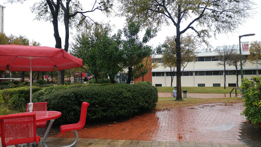 Community College «San Antonio College», reviews and photos