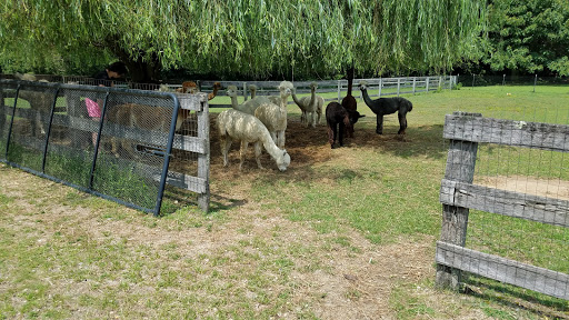 Farm «Painted Sky Alpaca Farm & Fiber Mill», reviews and photos, 95 Knight House Ln, Earleville, MD 21919, USA