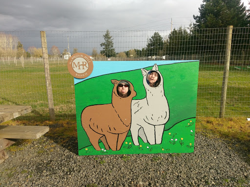 Livestock Breeder «Alpacas at Marquam Hill Ranch», reviews and photos, 35835 OR-213, Molalla, OR 97038, USA