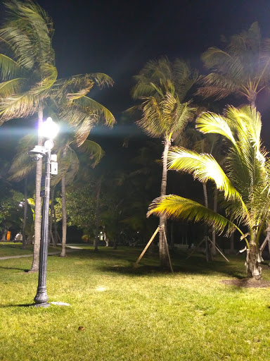 Clothing Store «Club Monaco Collins Avenue», reviews and photos, 624 Collins Ave, Miami Beach, FL 33139, USA