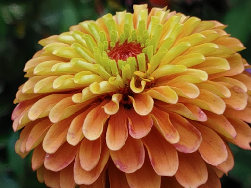 Botanical Garden «Beech Creek Botanical Garden & Nature Preserve», reviews and photos, 11929 Beech St NE, Alliance, OH 44601, USA