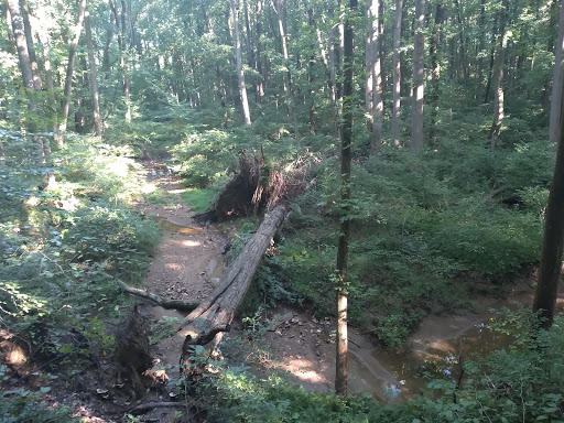 Nature Preserve «White Clay Creek State Park Nature Center», reviews and photos, 1475 Creek Rd, Newark, DE 19711, USA