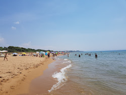 Spiaggia La Pineta'in fotoğrafı imkanlar alanı
