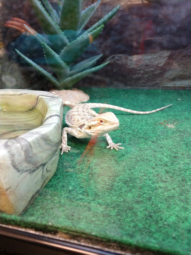 Pet Supply Store «Petco Animal Supplies», reviews and photos, 7721 Mentor Ave, Mentor, OH 44060, USA