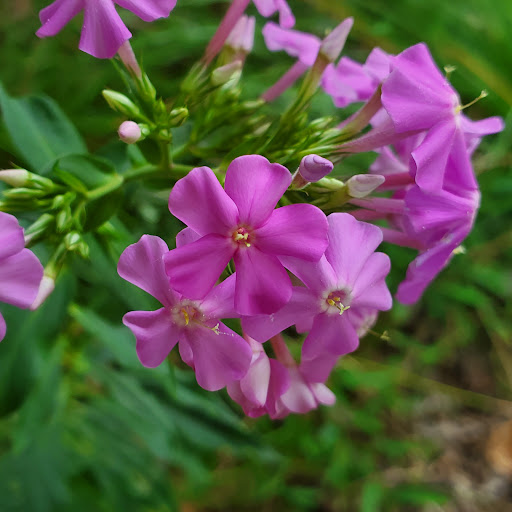 Nature Preserve «Creasey Mahan Nature Preserve», reviews and photos, 12501 Harmony Landing Rd, Goshen, KY 40026, USA