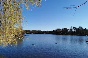 Petersfield Heath & Pond/Lake image