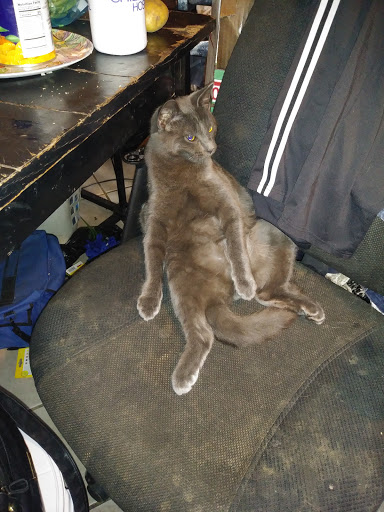 Pet Supply Store «Petco Animal Supplies», reviews and photos, G3559 Miller Rd, Flint, MI 48507, USA