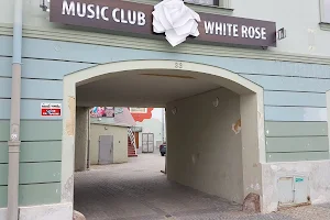 Disco White Rose image